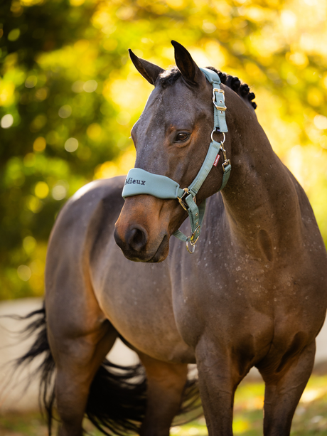 LeMieux Vogue Breakaway Headcollar & Leadrope Aloe