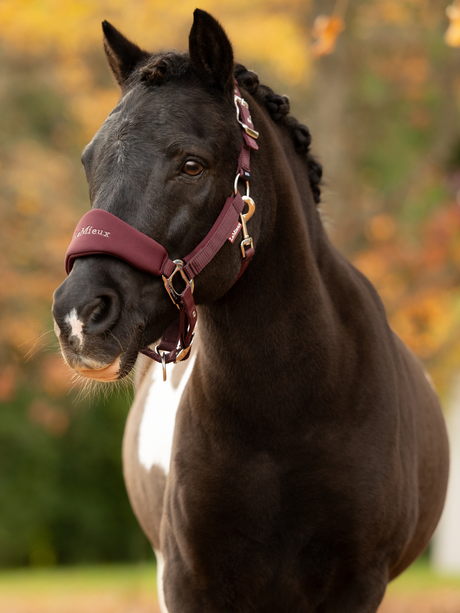 LeMieux Mini Vogue Breakaway Headcollar & Leadrope Bramble