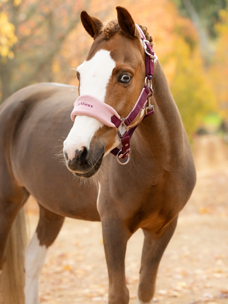 LeMieux Mini Vogue Headcollar & Leadrope Blackberry