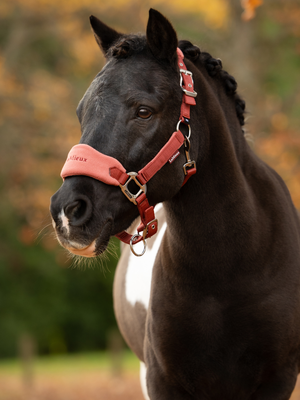 LeMieux Mini Vogue Headcollar & Leadrope Russet