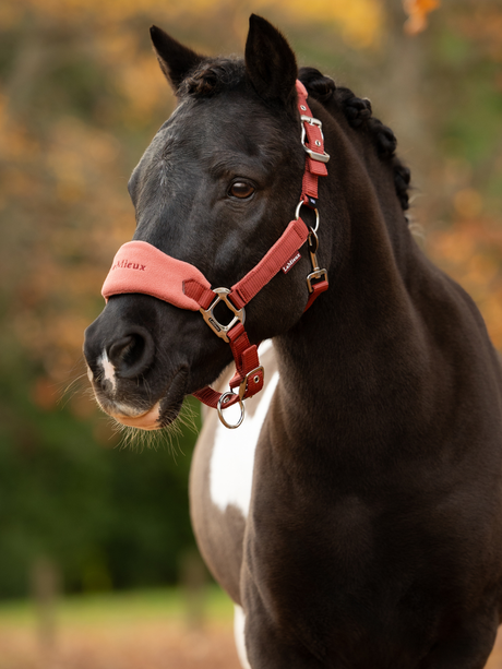 LeMieux Mini Vogue Headcollar & Leadrope Russet
