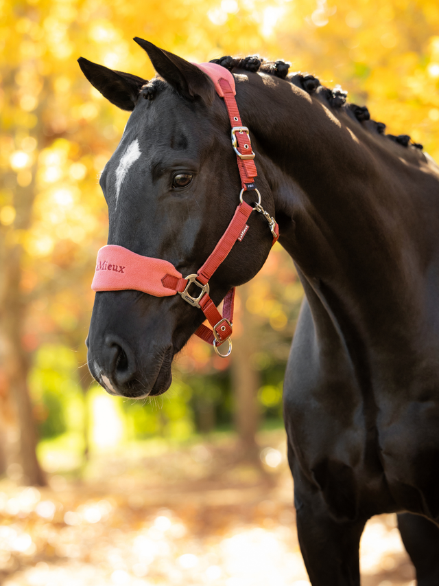 LeMieux Vogue Headcollar & Leadrope Russet