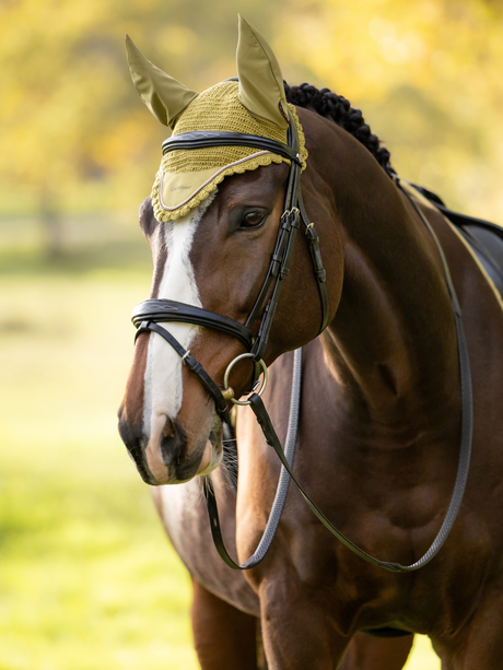 LeMieux Classic Fly Hood Gooseberry