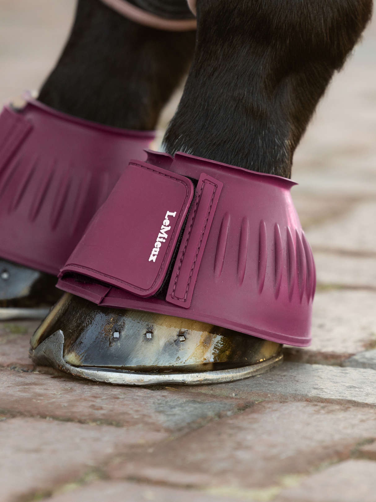 LeMieux Rubber Bell Boots Blackberry
