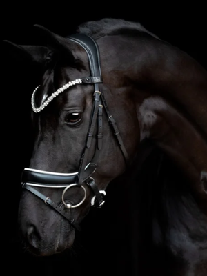 SD Design Romanov Browband Black/Silver