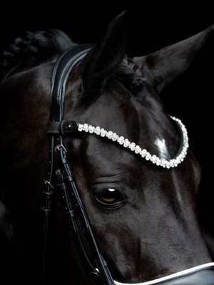 SD Design Romanov Browband Black/Silver