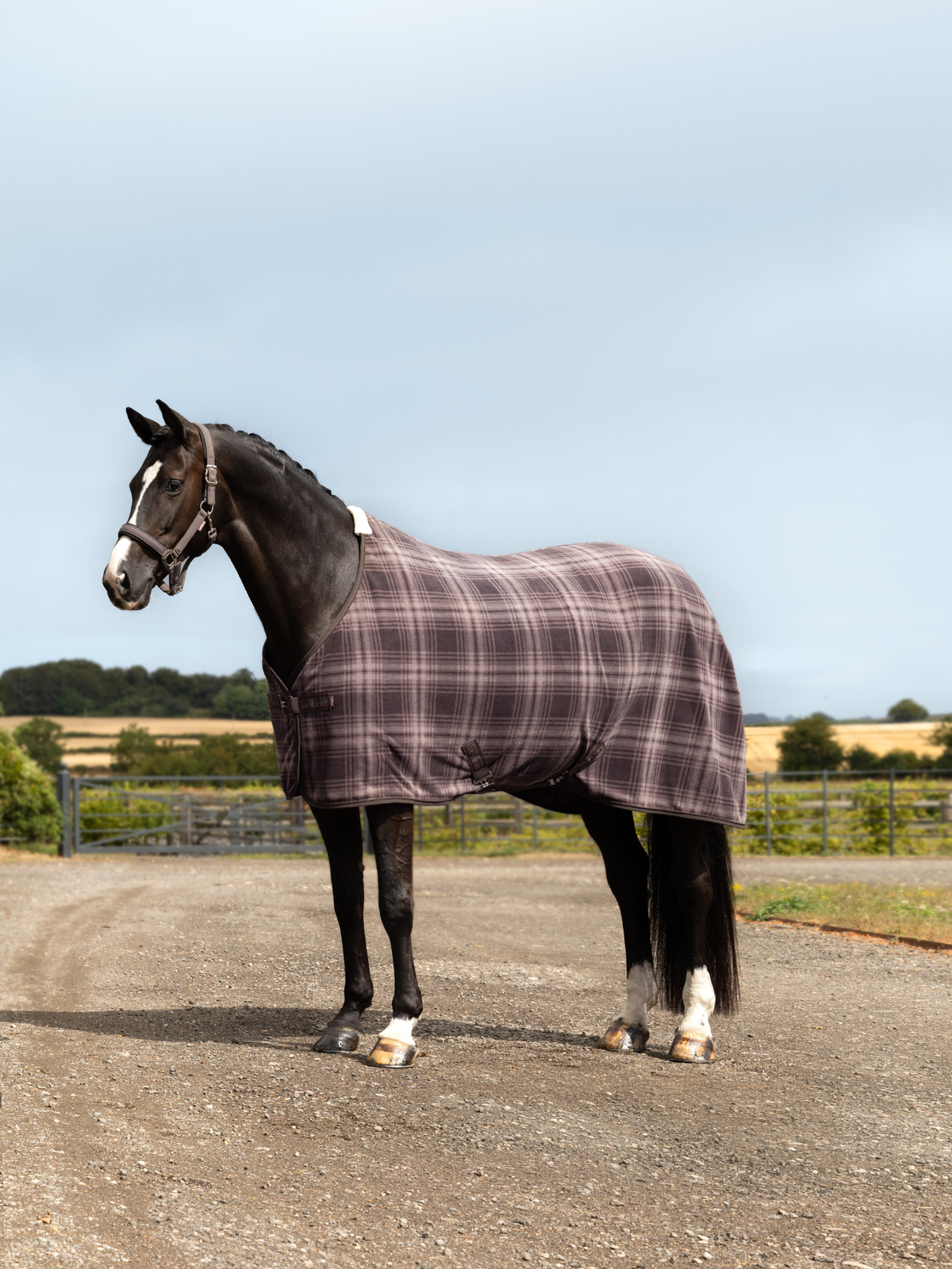 LeMieux Heritage Check Fleece Rug Cocoa