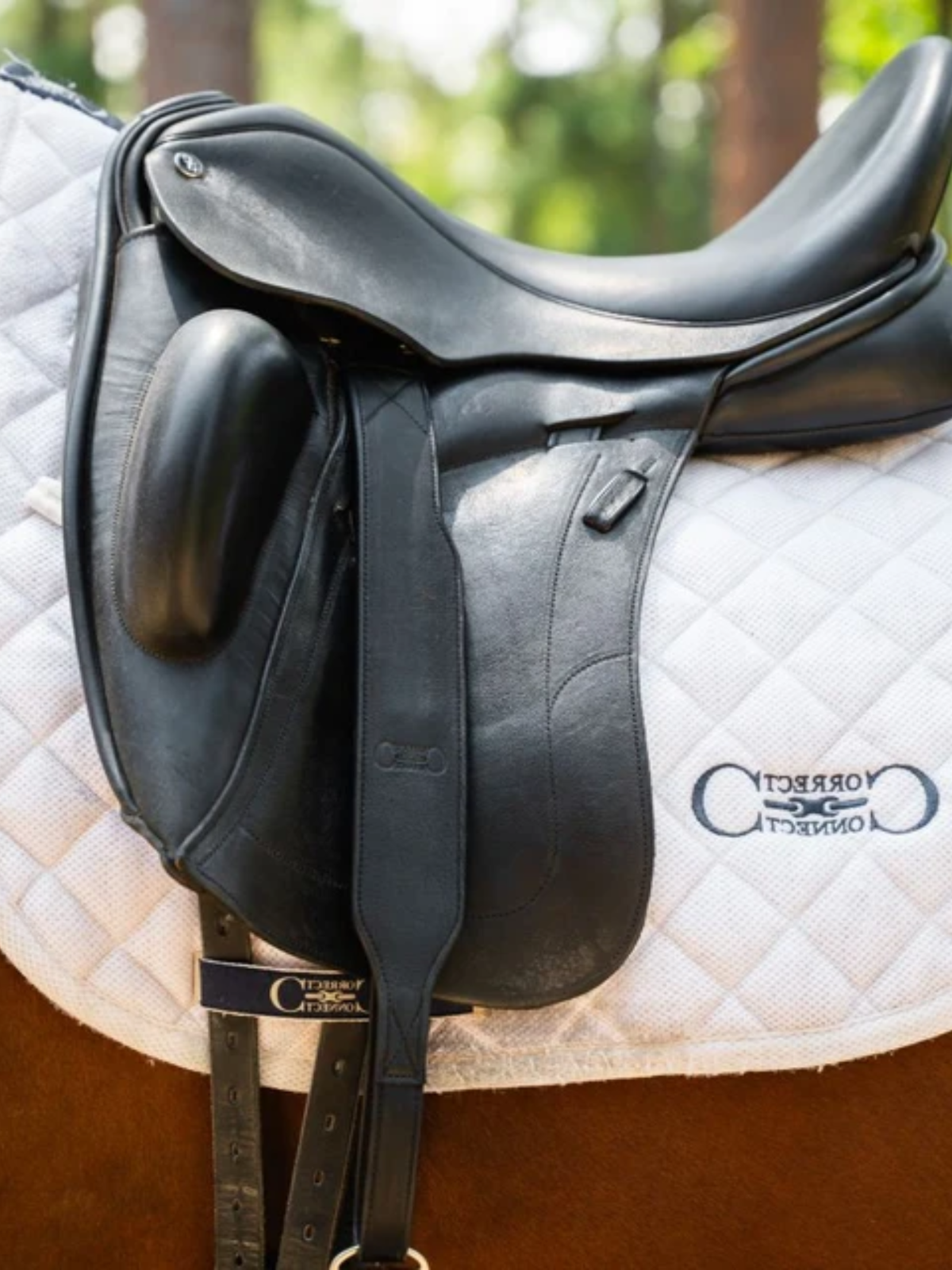 Correct Connect Stable Ride Mono-Stirrup Leather with T-Bars Black