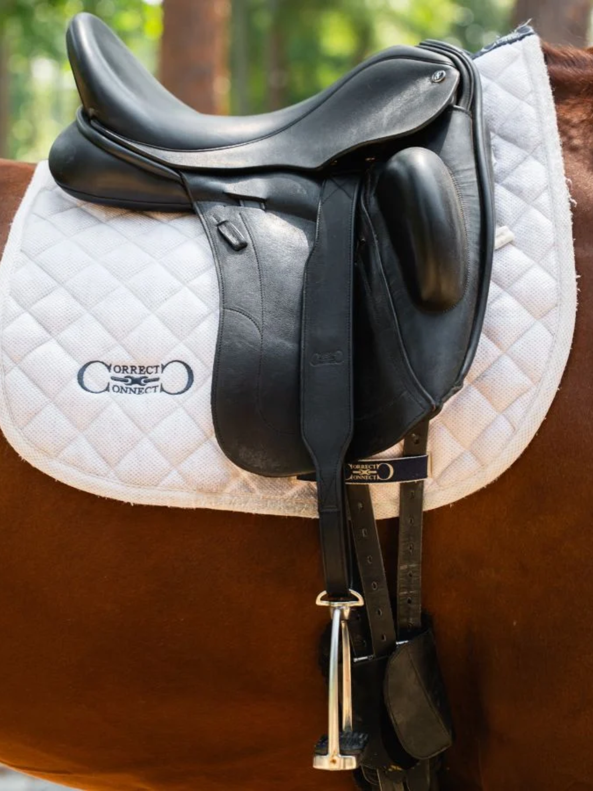 Correct Connect Stable Ride Mono-Stirrup Leather with T-Bars Black