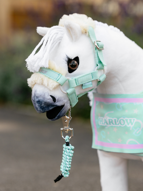 LeMieux Harlow Toy Pony Headcollar & Leadrope Softmint