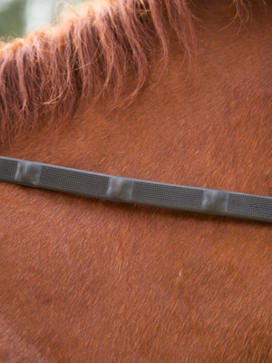 Correct Connect Ergo Grip Reins