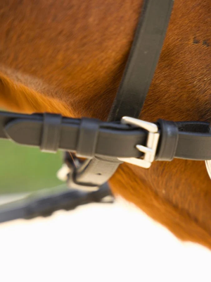 Correct Connect Ergo Grip Reins