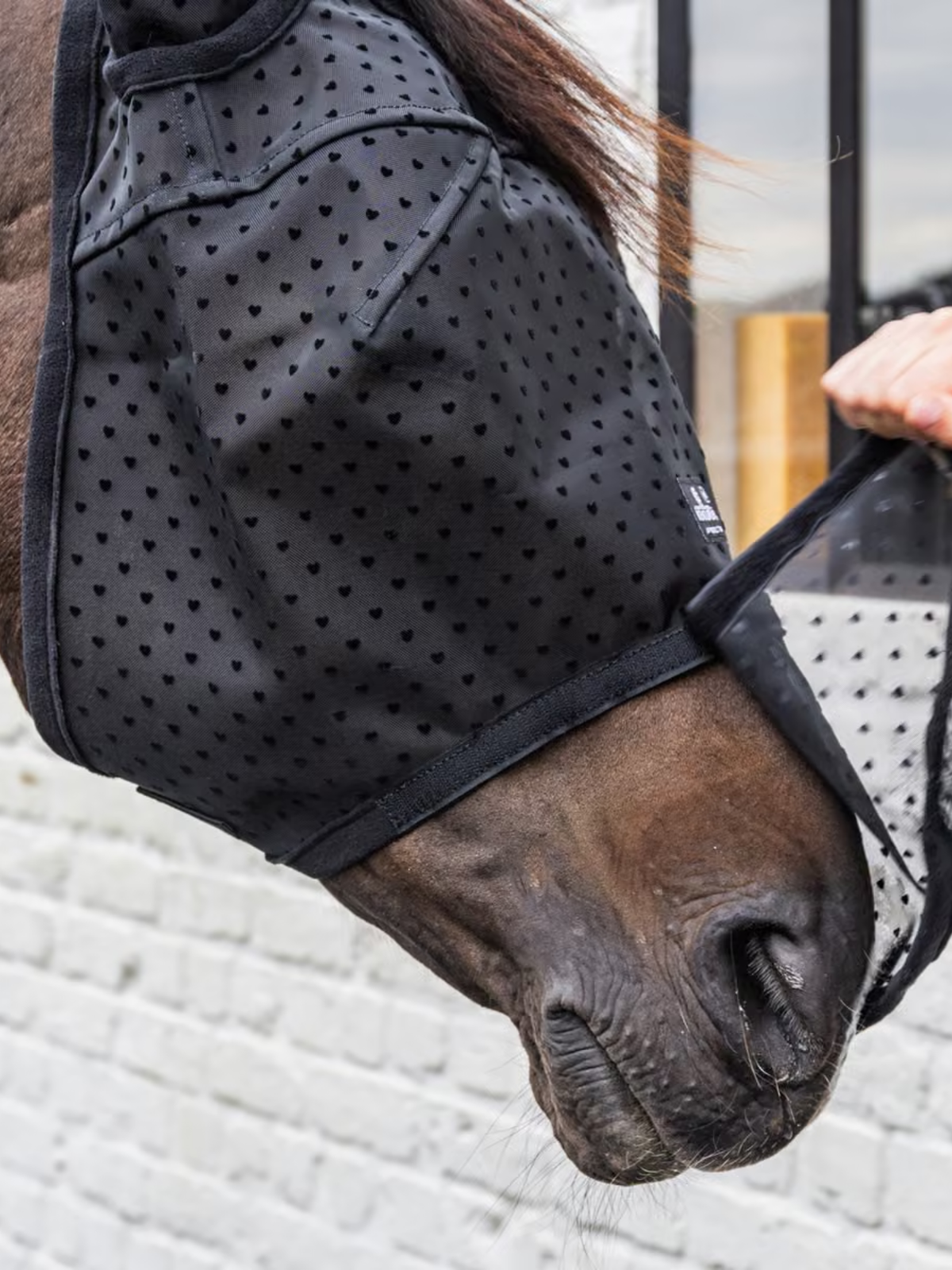 Kentucky Horsewear Fly Mask Heart Black