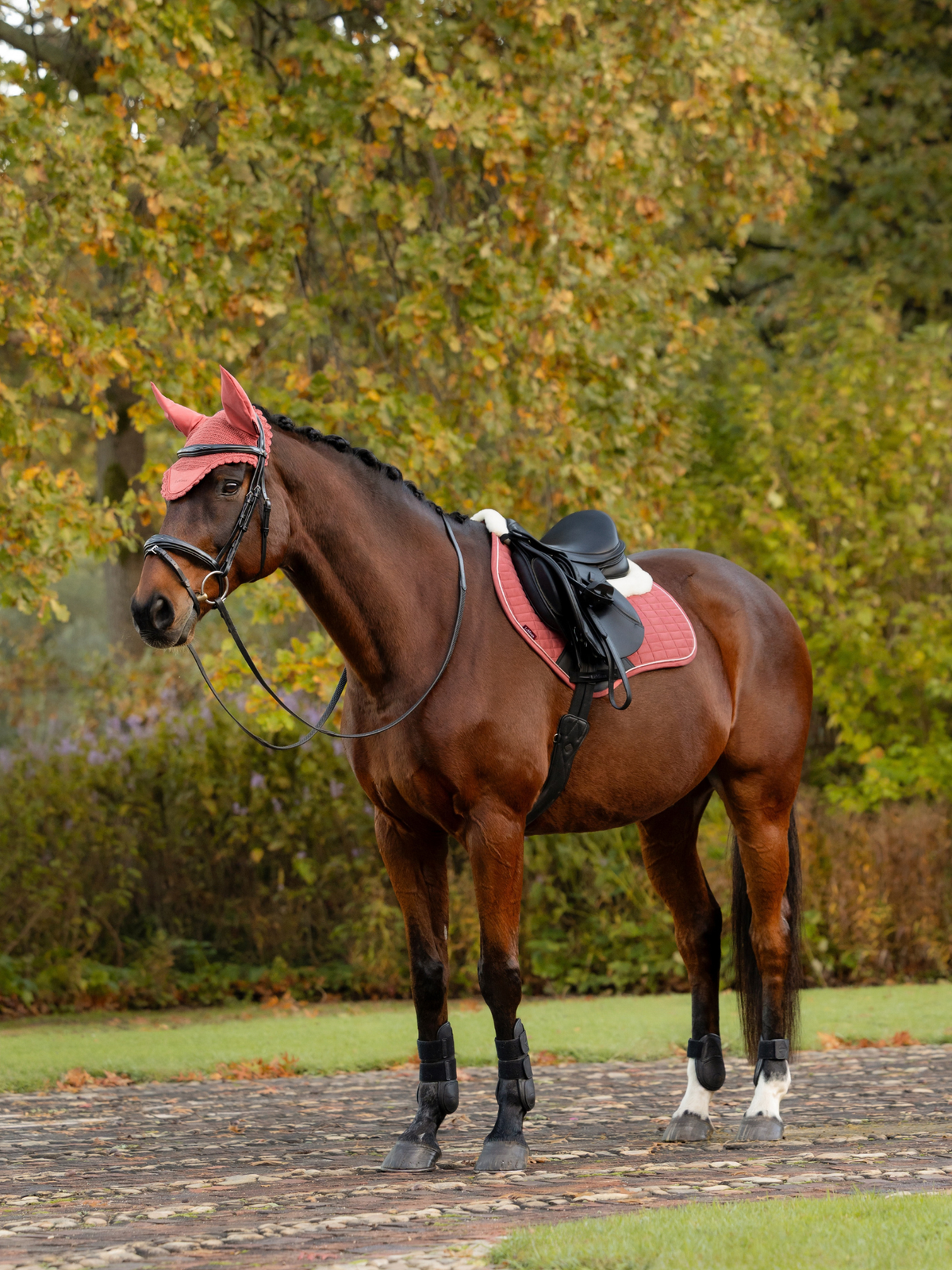 LeMieux Merino+ Suede Close Contact Saddle Pad Spiced Earth