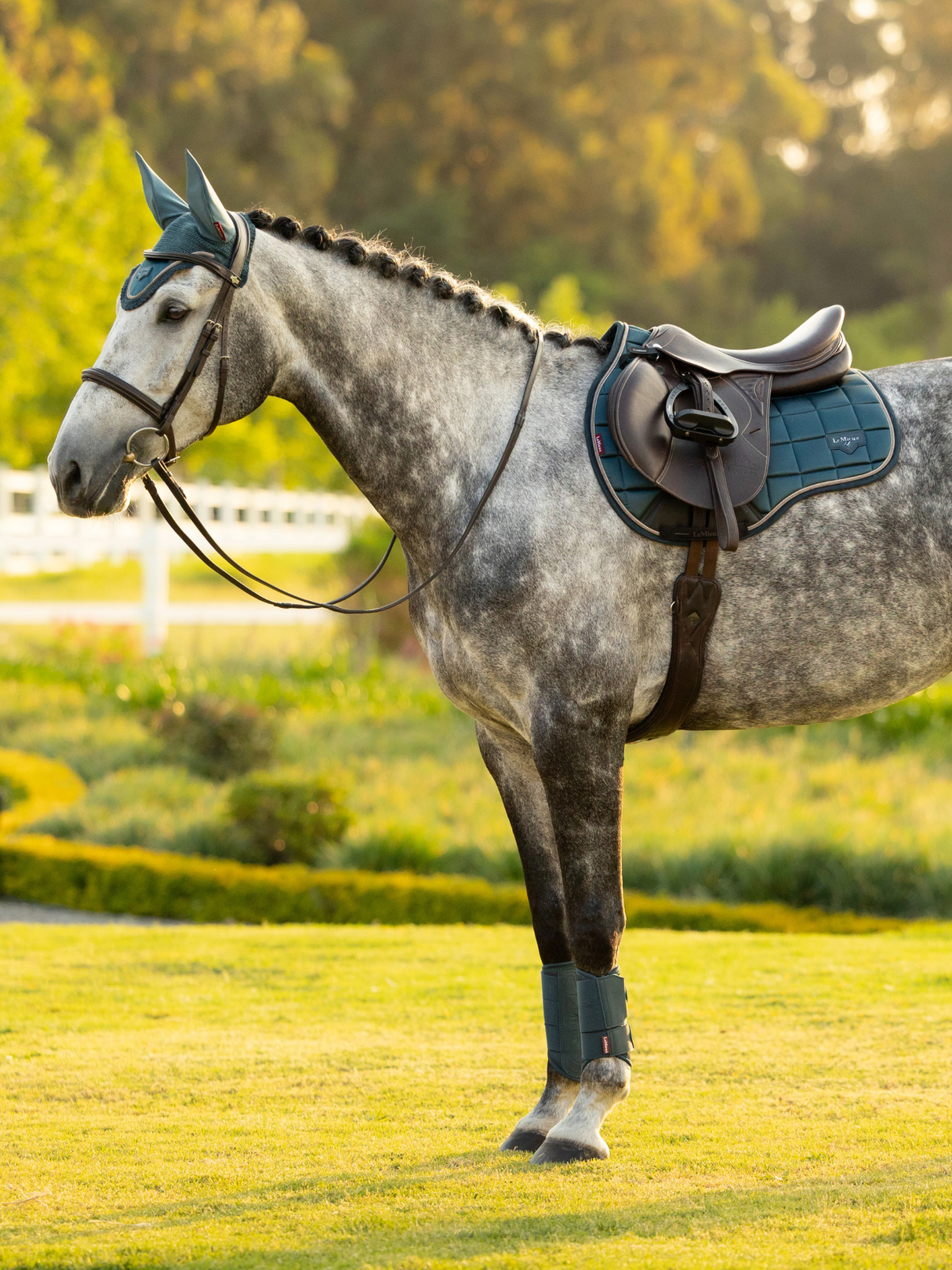 LeMieux Loire GP Saddle Pad Jungle
