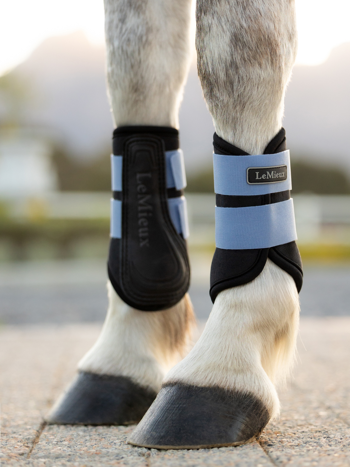 LeMieux Mini Air-Tek Grafter Brushing Powder Blue
