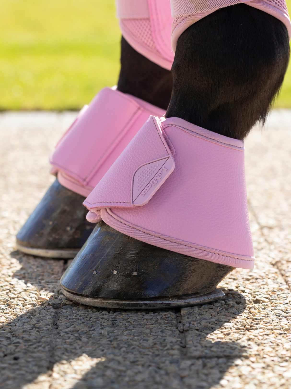 LeMieux Arika Over Reach Boots Fondant