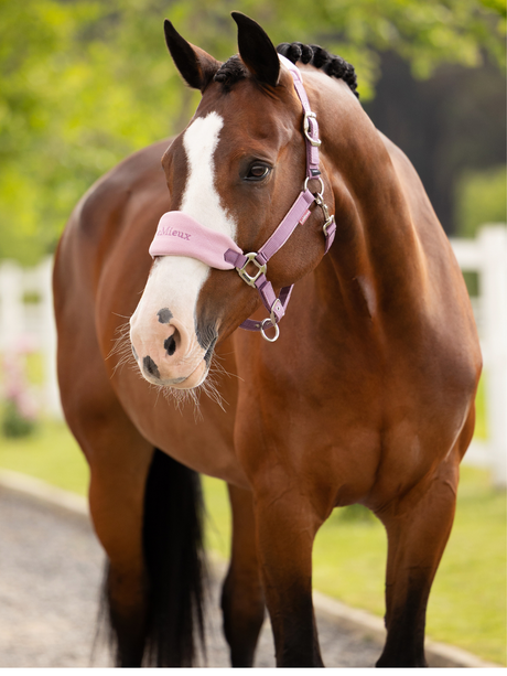 LeMieux Vogue Headcollar & Leadrope Mallow