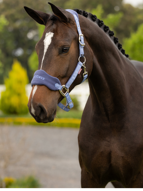 LeMieux Vogue Headcollar & Leadrope Powder Blue