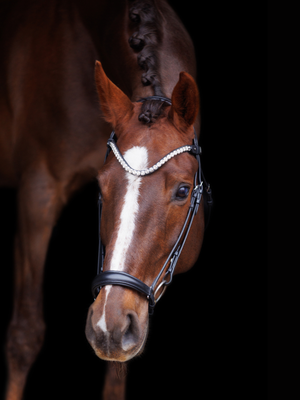 SD Design L Únique Drop Noseband Bridle