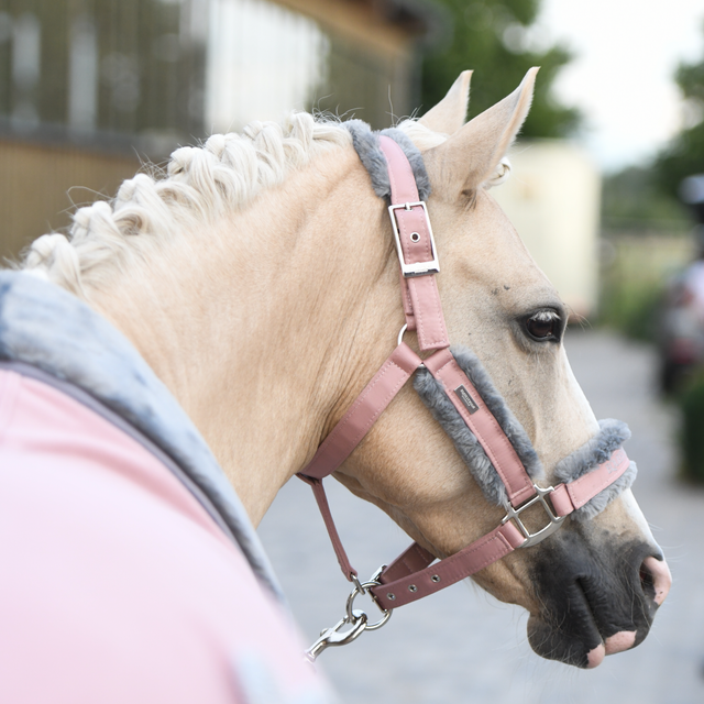 Equestrian Stockholm Fleece Headcollar & Lead Pink