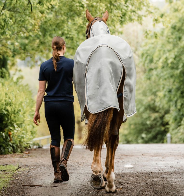 Rambo Protector Plus Fly Rug