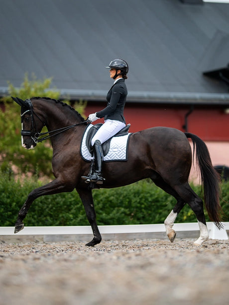 Equestrian Stockholm Padded Ear Bonnet Clean Black