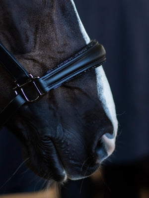 Equestrian Stockholm Glimmer Anatomic Leather Halter Black Edition