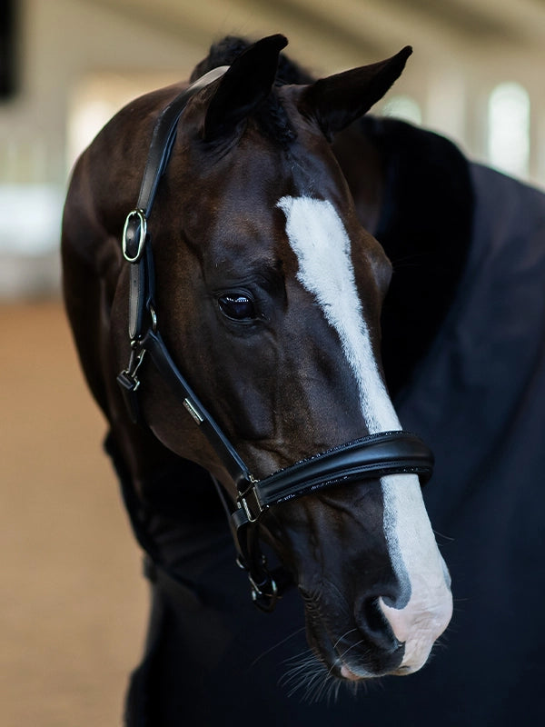 Equestrian Stockholm Glimmer Anatomic Leather Halter Black Edition