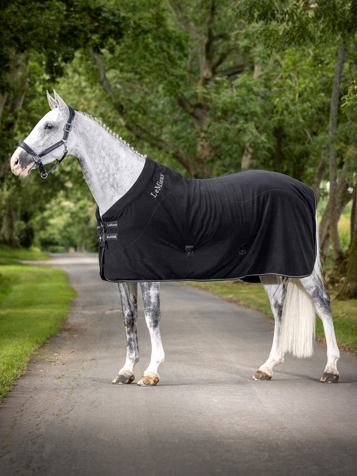 LeMieux Kudos Fleece Cooler Rug Black