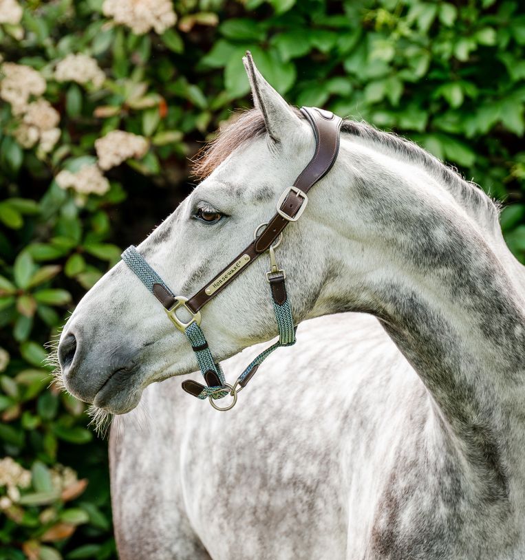 Horseware Signature Braided Headcollar Blue Haze