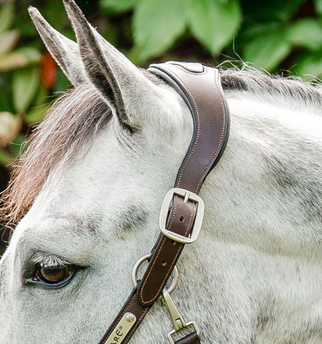 Horseware Signature Braided Headcollar Blue Haze