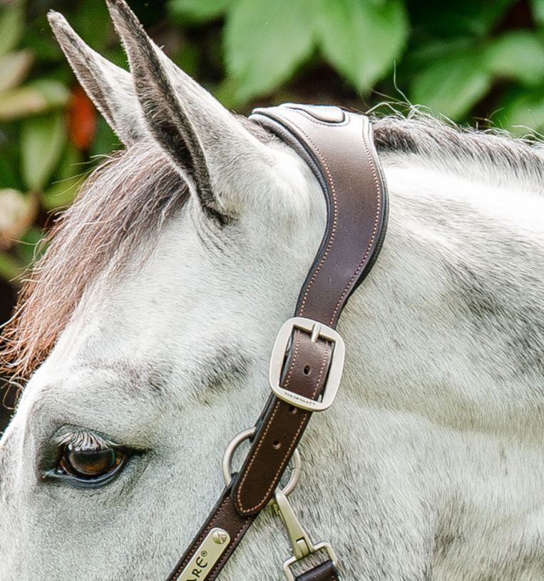 Horseware Signature Braided Headcollar Hunter Green