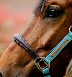 Horseware Signature Competition Headcollar Blue Haze