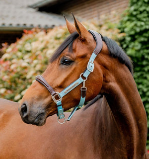 Horseware Signature Competition Headcollar Blue Haze