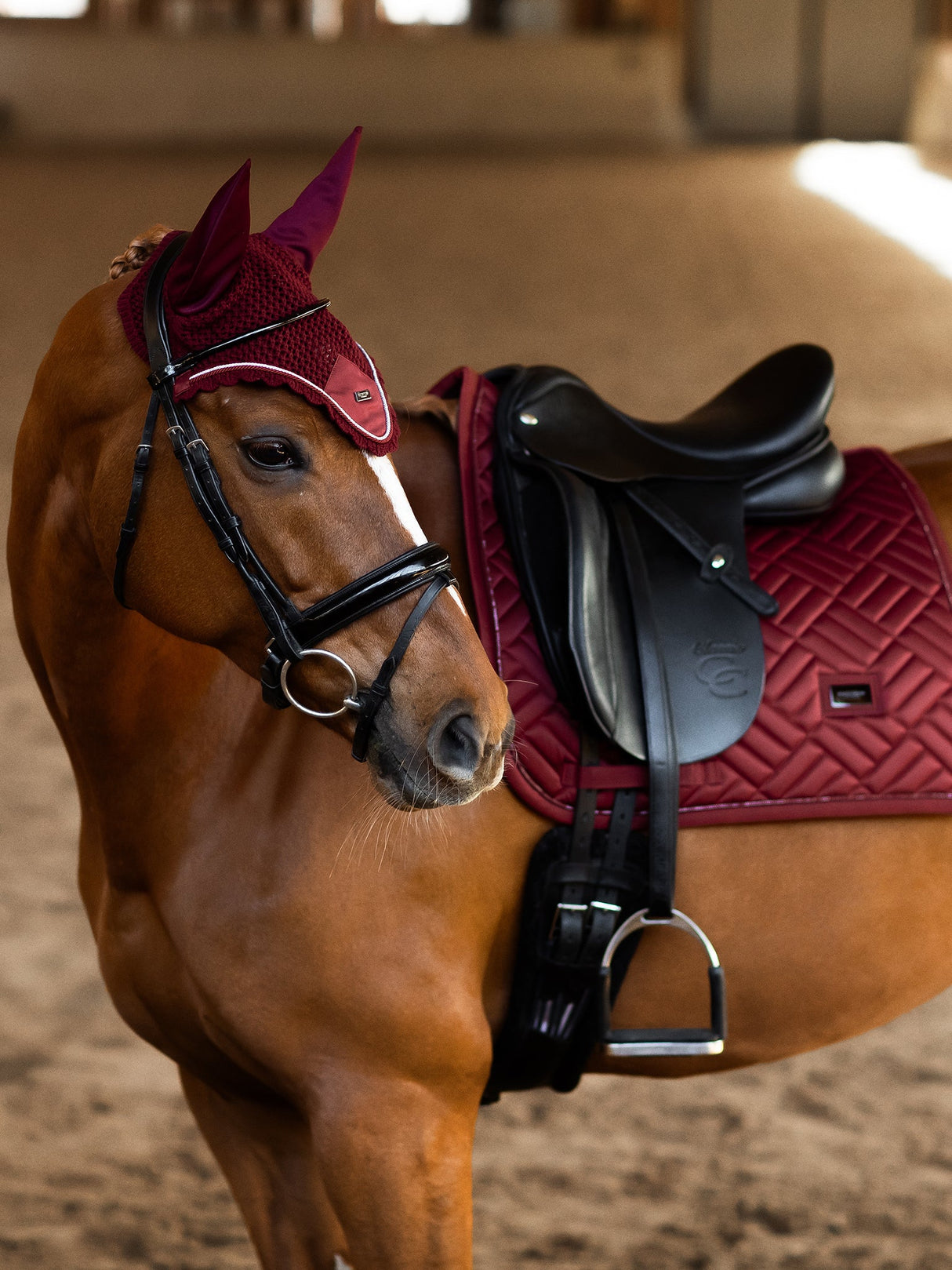 Equestrian Stockholm Dressage Saddle Pad Modern Bordeaux