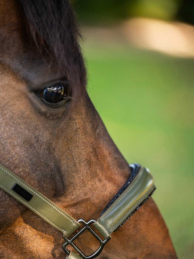 Equestrian Stockholm Anatomic Glimmer Leather Halter Striking Valley