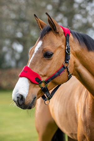 LeMieux Vogue Headcollar & Leadrope Chilli