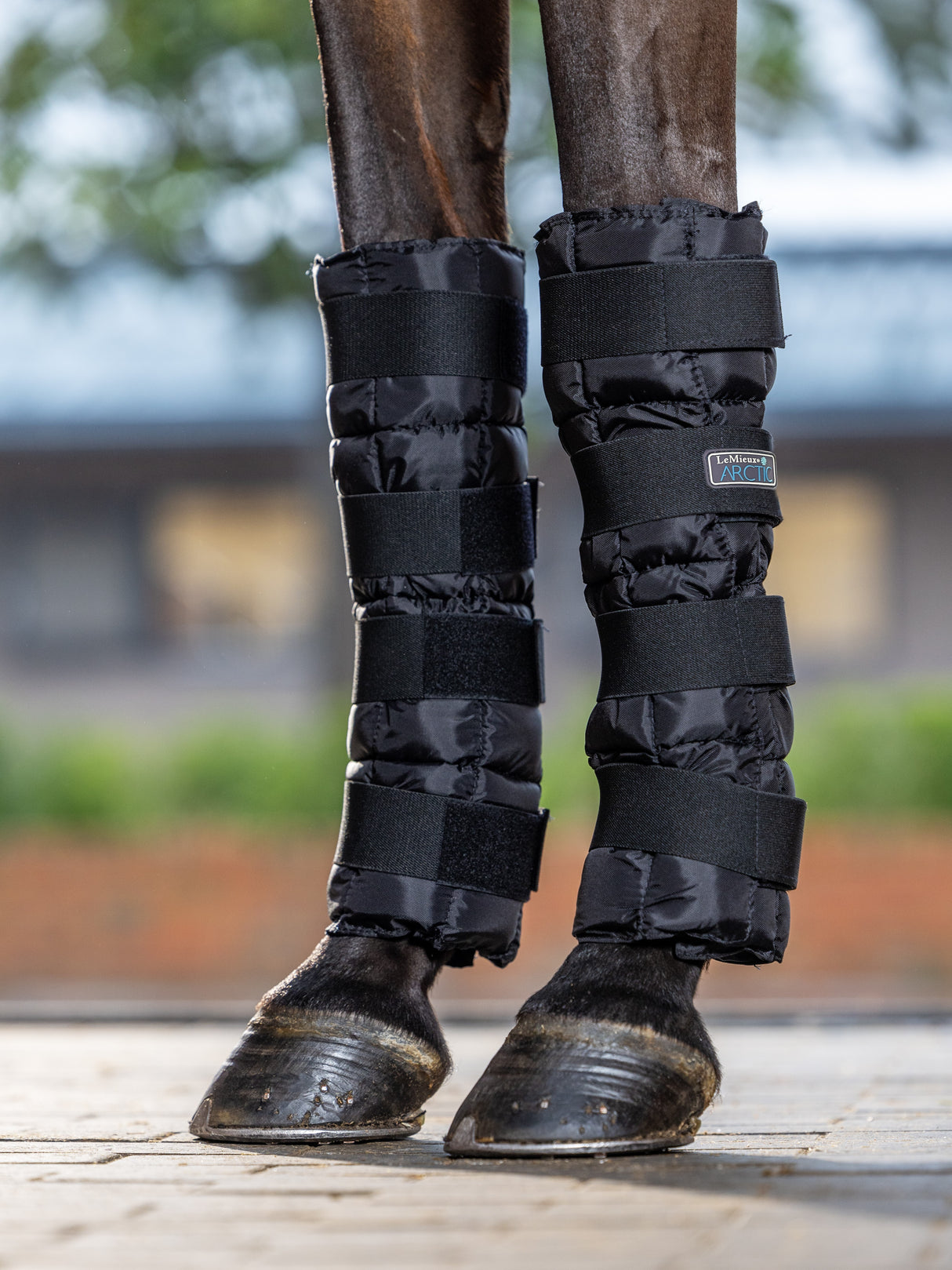 LeMieux Artic Ice Boots Black