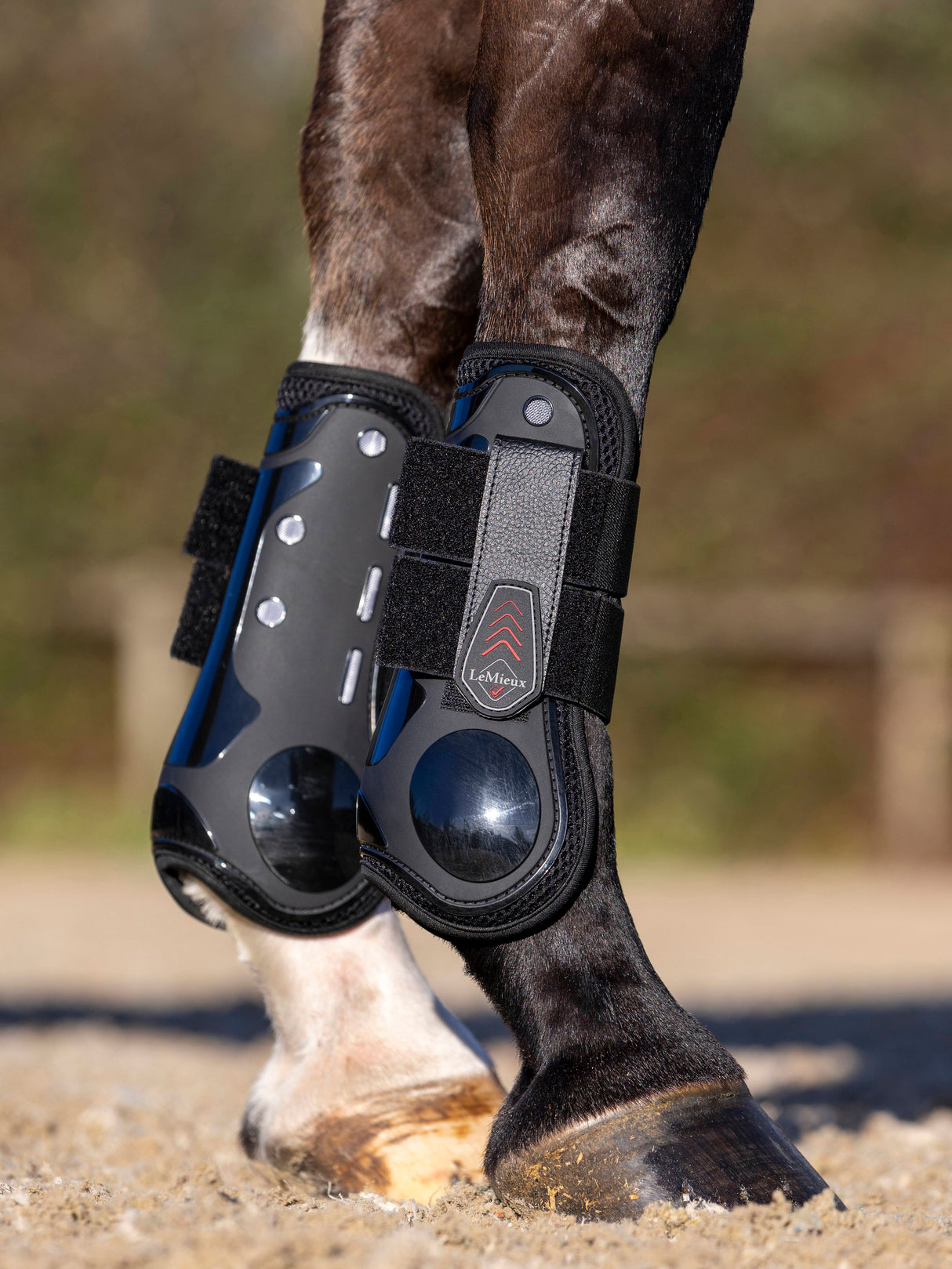 LeMieux Derby ProJump Tendon Boots Black
