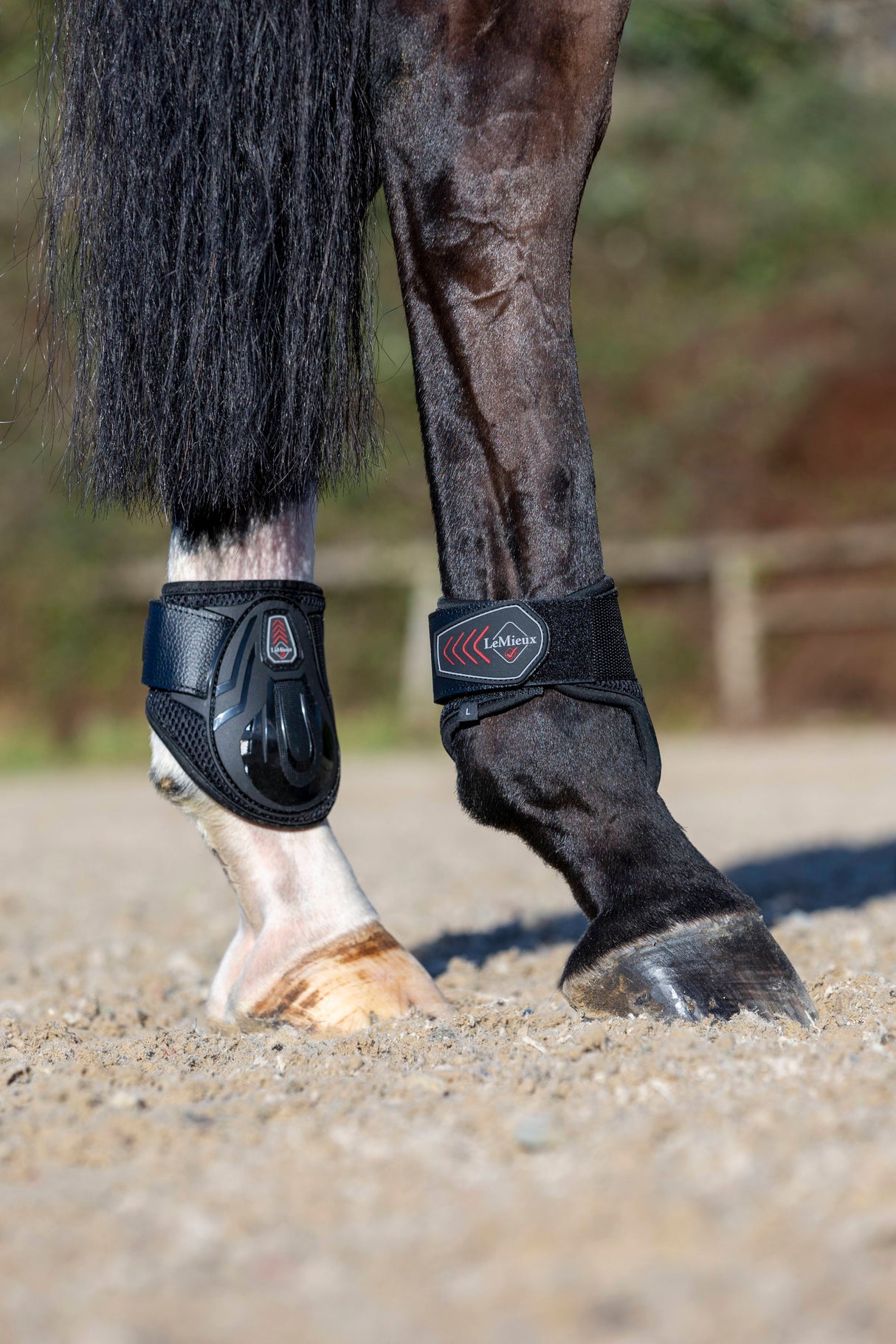 LeMieux Derby ProJump Fetlock Boots Black