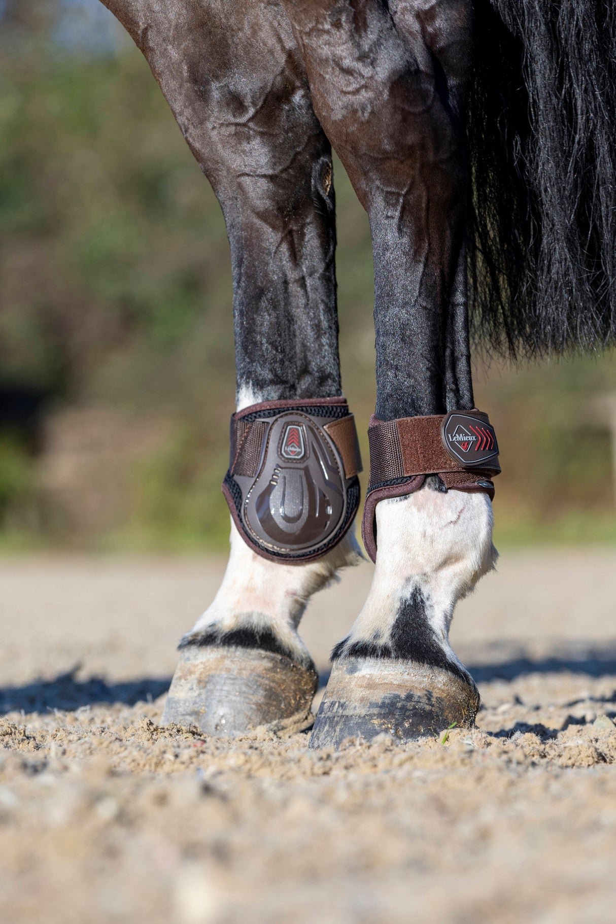 LeMieux Derby ProJump Fetlock Boots Brown