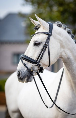 LeMieux Kudos Classic Dressage Bridle