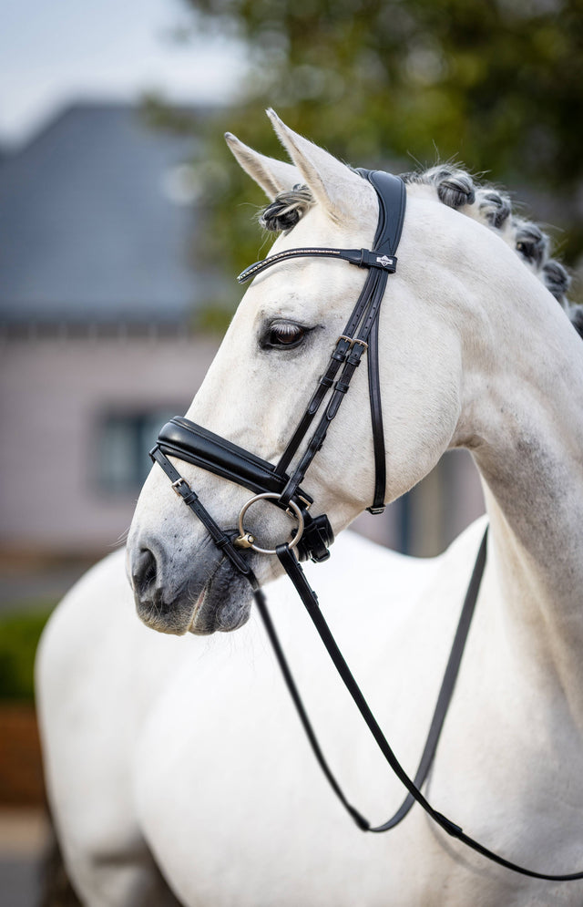 LeMieux Kudos Classic Dressage Bridle