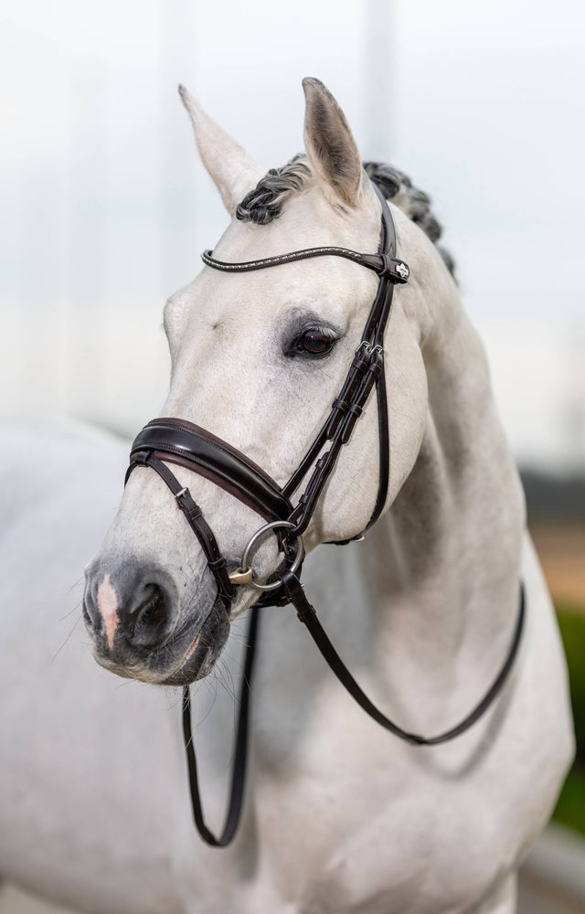 LeMieux Kudos Classic Dressage Bridle