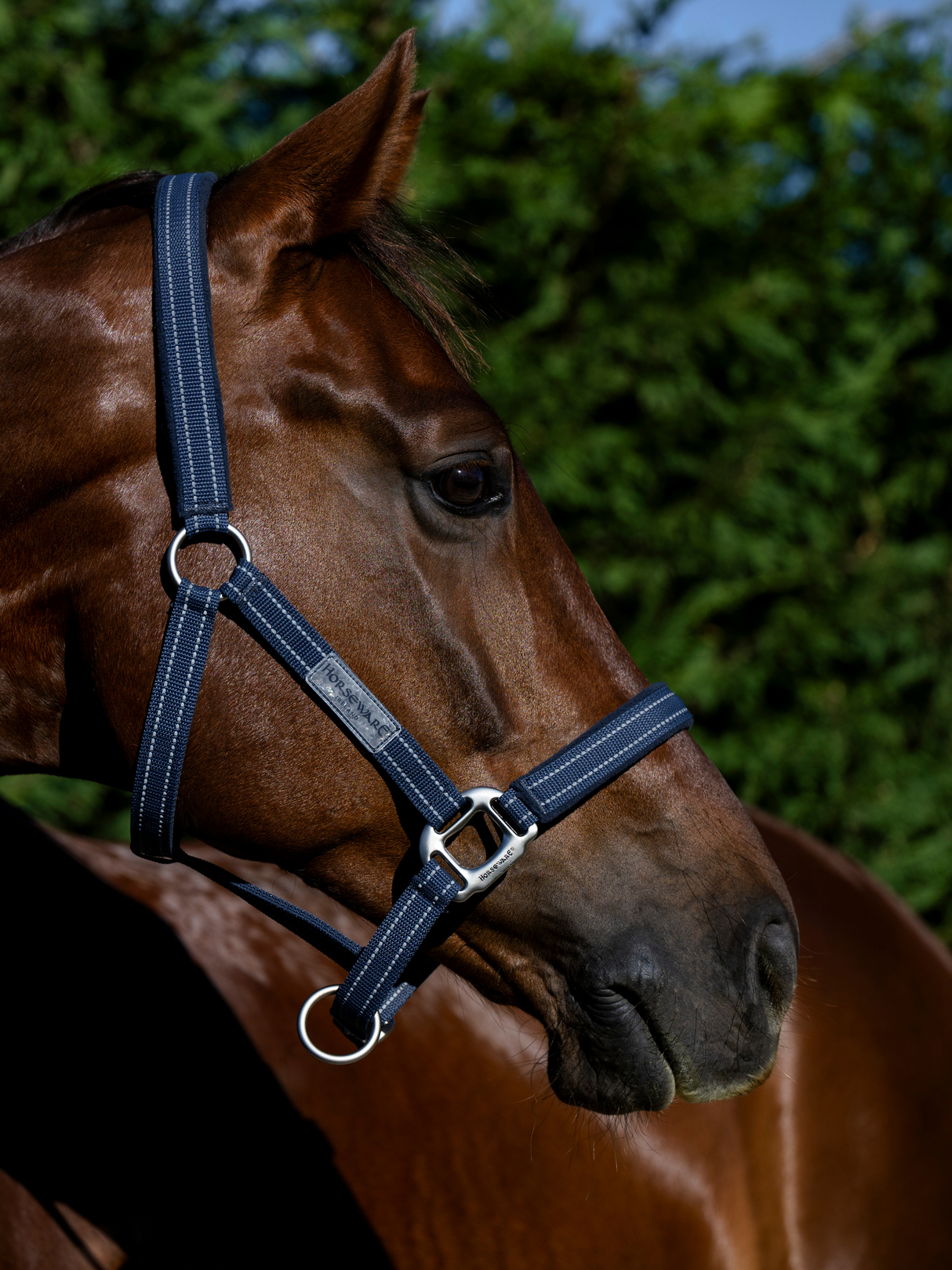 Horseware Field Safe Headcollar Navy