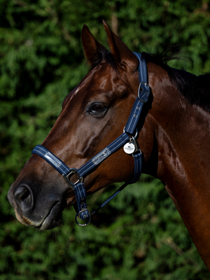 Horseware Field Safe Headcollar Navy