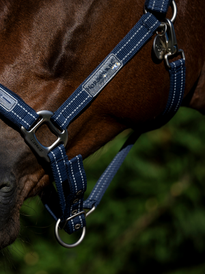 Horseware Field Safe Headcollar Navy