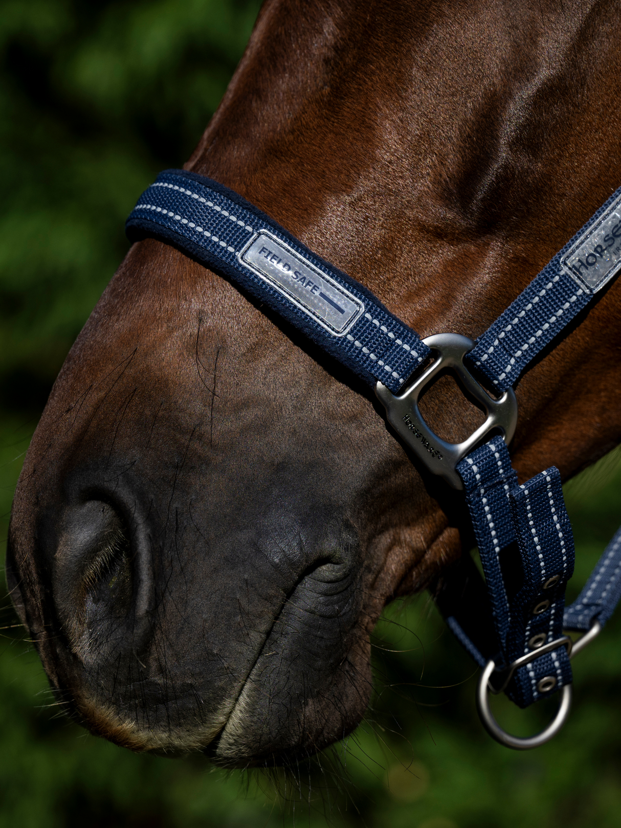 Horseware Field Safe Headcollar Navy