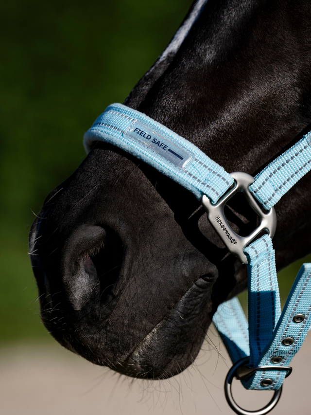 Horseware Field Safe Headcollar Blue Haze